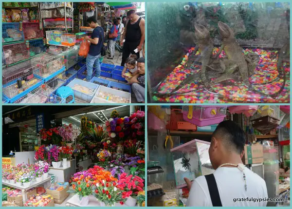 Scenes from the Bird and Flower Market.