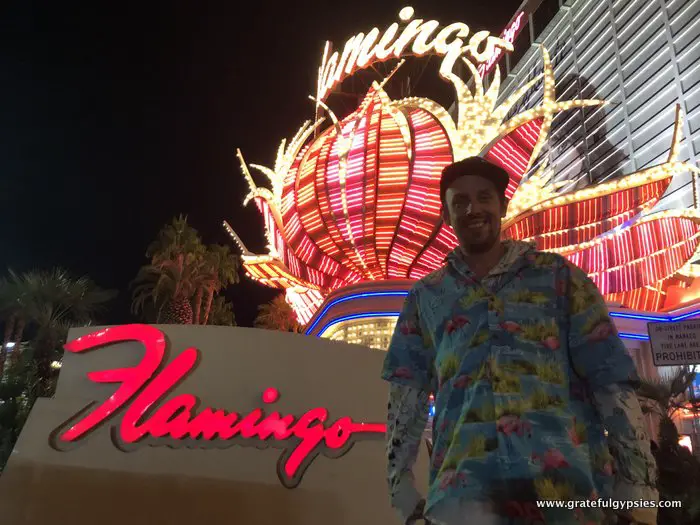 Flamingo Las Vegas Phish fall tour2021