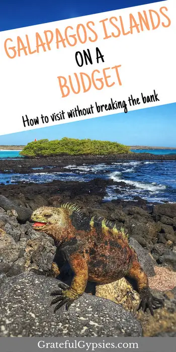 Visiting Galapagos does not have to break the bank. It's possible to travel to Galapgos on a budget. This post includes our itinerary plus how much we spent on all our activities.